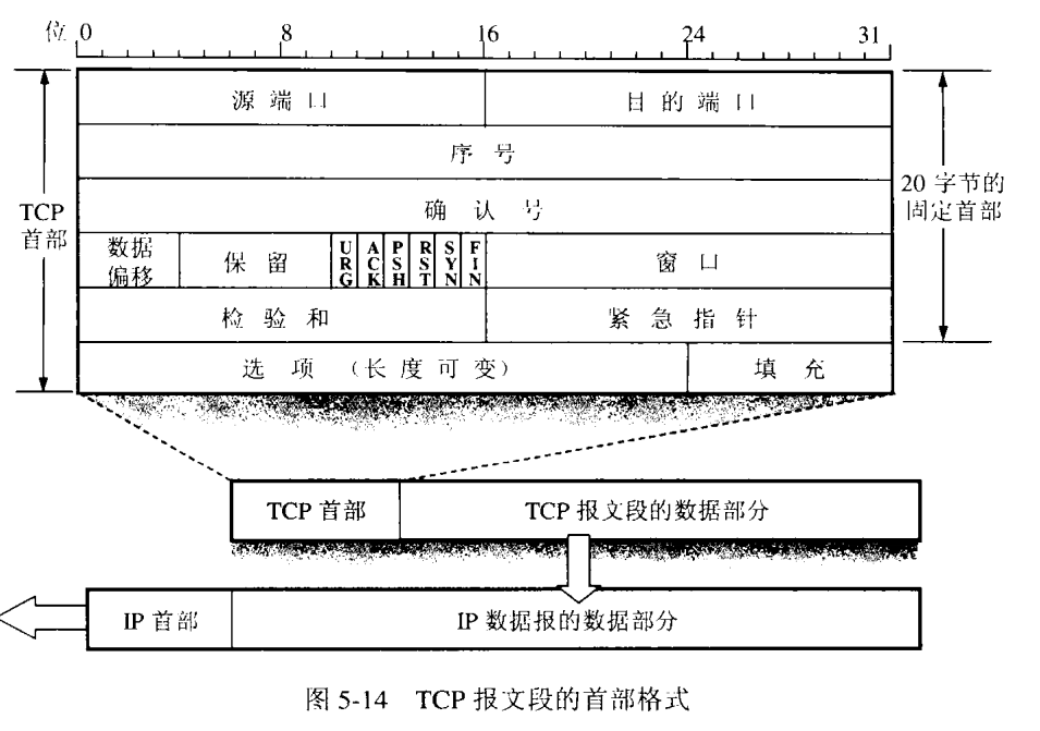 tcp 首部字段